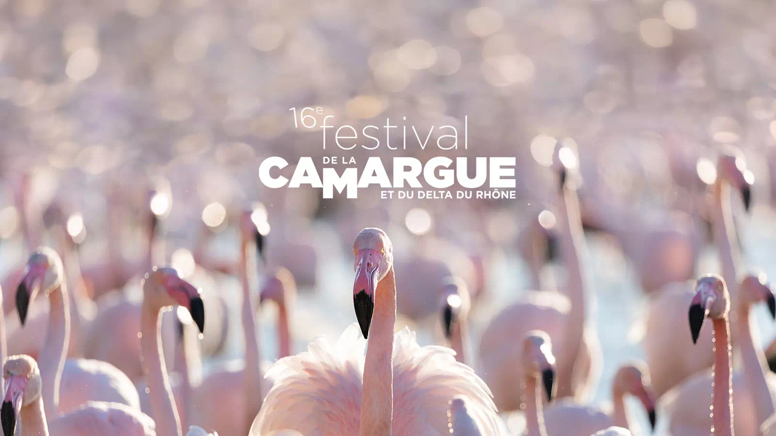 Festival de la Camargue et du Delta du Rhône
